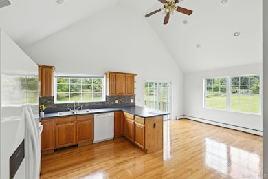 160 Pirog Rd, Pine Bush, NY 12566 - photo 5