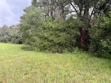 0 State Route 471, Sumterville, FL 33585 - photo 3