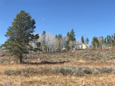 33512 Seneca Trail, Oak Creek, CO 80467 - photo 4