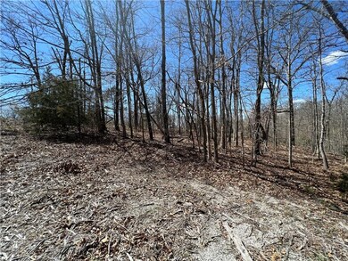 Lot 8 Ilsle Ln, Bella Vista, AR 72714 - photo 3