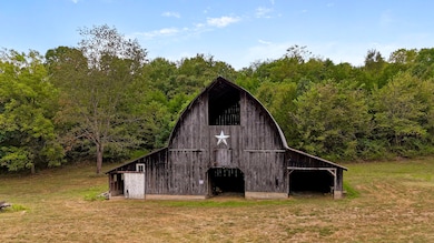 411 Lake Branch Rd, Clever, MO 65631 - photo 4