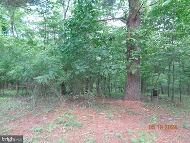 1634 Tub Run Hollow Rd, Hedgesville, WV 25427 - photo 6