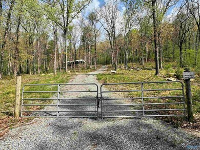 405 Stewart Hollow Rd, Grant, AL 35747 - photo 5