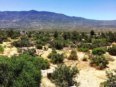 PINYON PINES