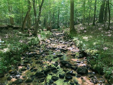 0 Nc Highway 134 N unit 1079012, Star, NC 27375 - photo 7