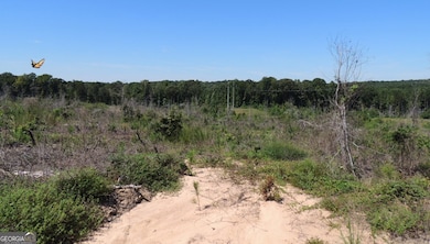 57+/- AC Victory Rd, Franklin, GA 30217 - photo 3