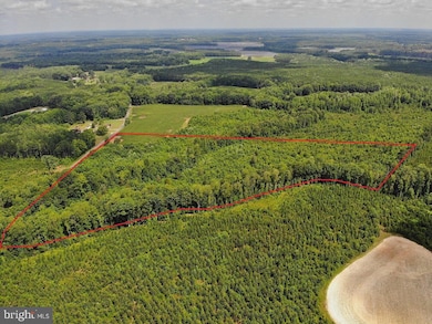 0 Fish Rd unit VAGE2000018, Emporia, VA 23847 - photo 5