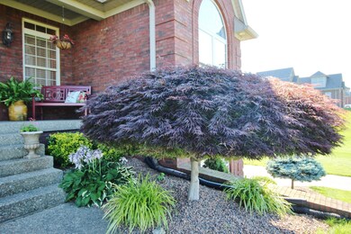 211 Eagles Bluff Ct, Shepherdsville, KY 40165 - photo 5