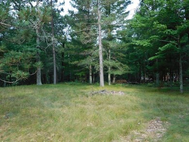 29017 E Yellow River Rd, Danbury, WI 54830 - photo 3