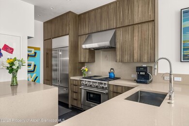 155 Lone Pine Rd unit 12, Aspen, CO 81611 - photo 7