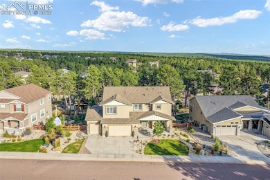 16267 Thunder Cat Way, Monument, CO 80132 - photo 5