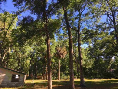 19 Beechwood Dr unit 1, Crawfordville, FL 32327 - photo 4