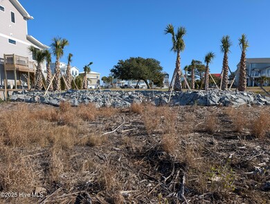 171 Big Hammock Point Picture 1