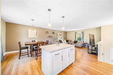 Kitchen with pendant lighting, light hardwood floo