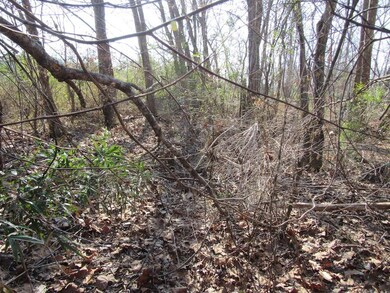 0 Dailey Loop unit 1796769, Linden, TN 37096 - photo 5