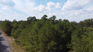 DJI_0335