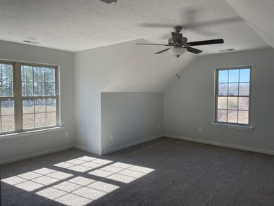 303 Grace Ct, Manchester, TN 37355 - photo 7