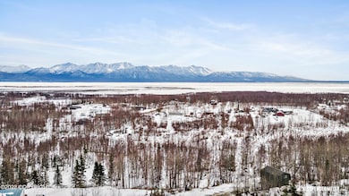 03-DJI_0265