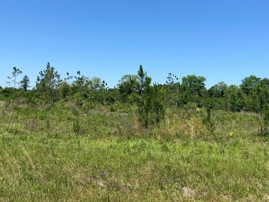 1793 Firetower Rd, Enigma, GA 31749 - photo 3