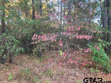 1657 Pineview Ln, Hideaway, TX 75771 - photo 4