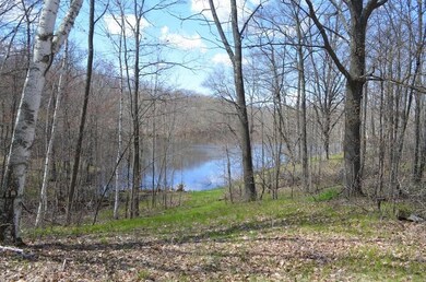 0 Hogback Rd, Chetek, WI 54728 - photo 7