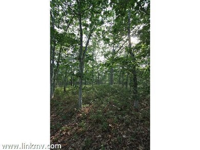 71,77, 79 Edgartown Vineyard Haven & 10 Gamba Rd, Oak Bluffs, MA 02557 - photo 6