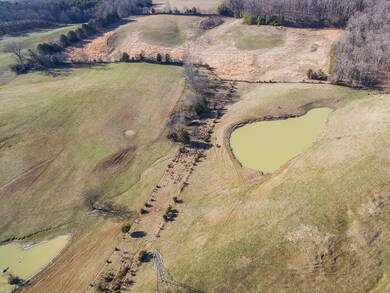 D_Neas_Poplar-Springs-Aerial_0027