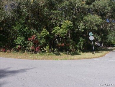 12013 SW 98th Loop, Dunnellon, FL 34432 - photo 3