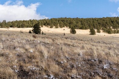 0 Private Rd unit 7747093, Cripple Creek, CO 80813 - photo 6