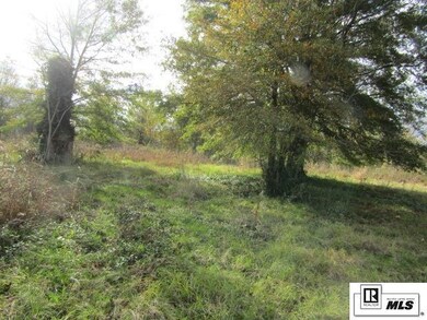 000 State Route 585, Alto, LA 71269 - photo 2