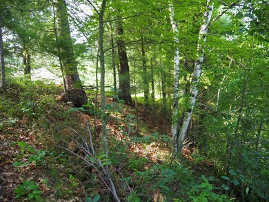 Lot 1 E Yellow River Rd, Oakland Township, WI 54830 - photo 4