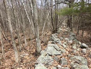 0 New Settlement Rd, Hiram, ME 04041 - photo 5