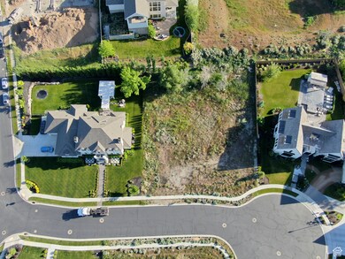 Aerial overview of property's location