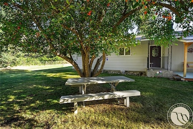 Beautiful crabapple tree in the front yard.