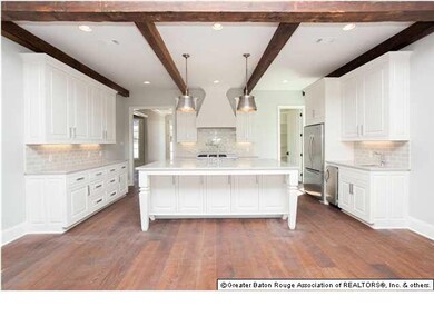 This kitchen is loaded! Single Basin Stainless Sin