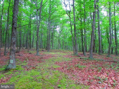 13 Rock Slide Way, Romney, WV 26757 - photo 5