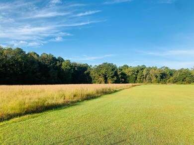 TBD Turkey Run, Havana, FL 32333 - photo 6