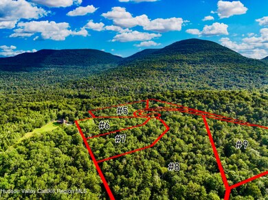 15 Corfu Rd, Hunter, NY 12427 - photo 3