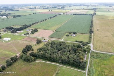 Tbd Wilson Rd, Maurice, LA 70555 - photo 7