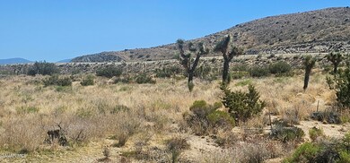 0 Avenue X 136th St E unit 23006122, Pearblossom, CA 93553 - photo 2