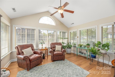 Sunroom - Plants love the light