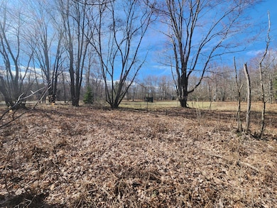 Lot 1829 Sandpiper Trail, Otsego Lake Township, MI 49735 - photo 7