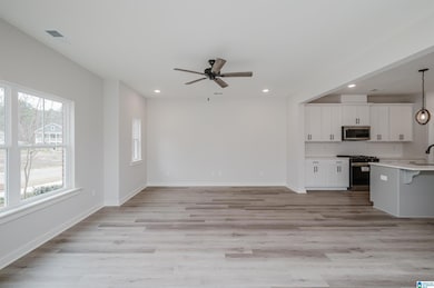 Massive Living Space!