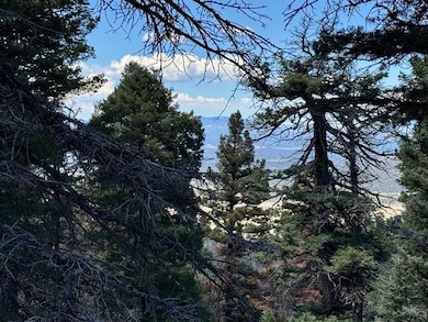 TBD Derigo Ln, Westcliffe, CO 81252 - photo 3