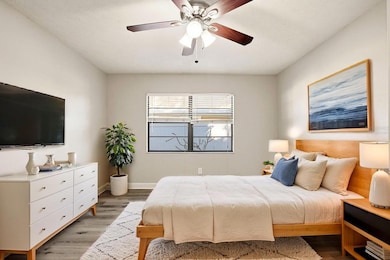 15009 Naples Place, Tampa, FL 33624 - photo 7