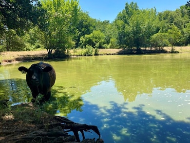 Tract 1 County Road 4460, Decatur, TX 76234 - photo 5