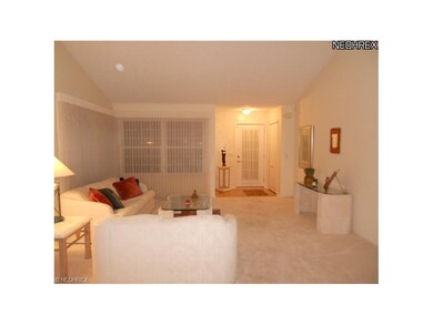 Hunter Douglas Blinds throughout