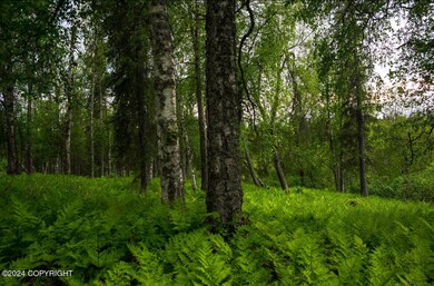IMG_4005