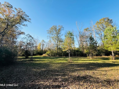 0 County Road 4210, Sallis, MS 39160 - photo 3