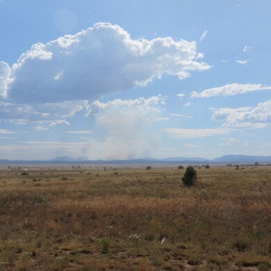 26600 N Bull Snake Rd, Paulden, AZ 86334 - photo 2